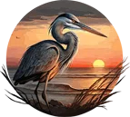Blue Heron: A Luxury Beachfront Rental Home between Surfside Beach and Galveston Texas